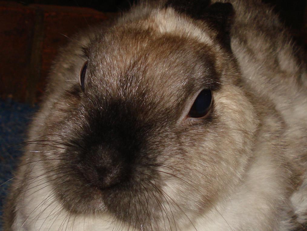 Dsc01942 A.jpg