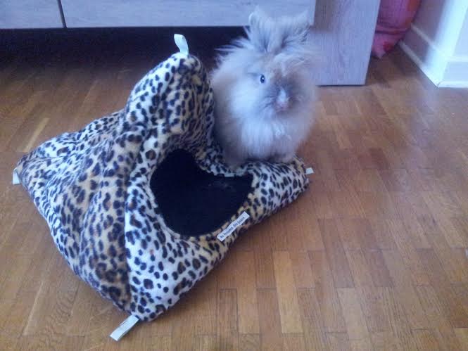 jessy 3.jpg