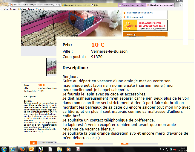 Sans titre.png