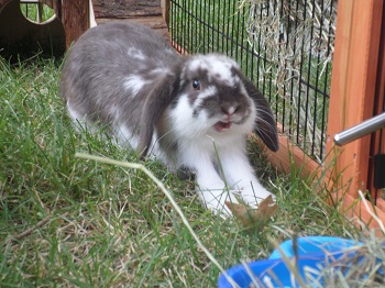 SAM_0657.JPG