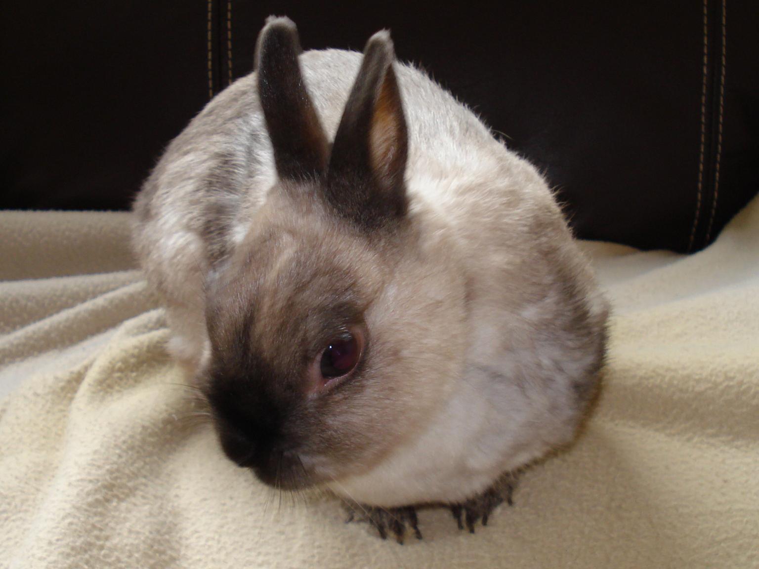 DSC01480 A.jpg