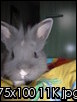 dscn4267r.th.jpg