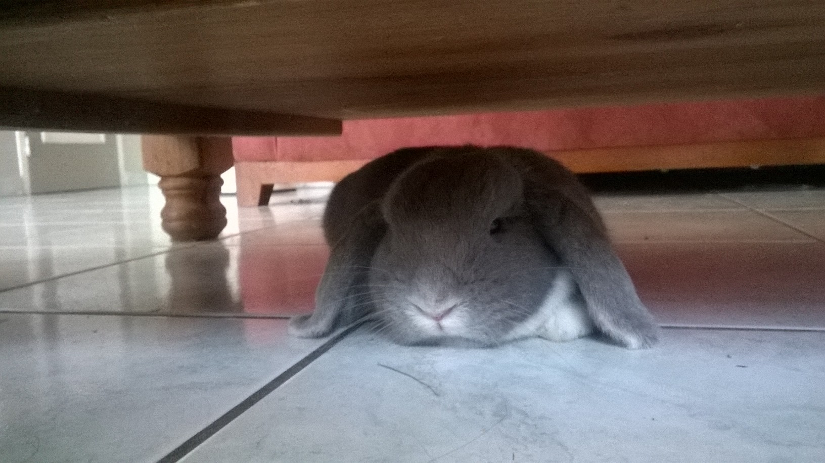 WP_20140904_002.jpg