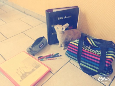 bloggif_541c3e07774e7.jpeg