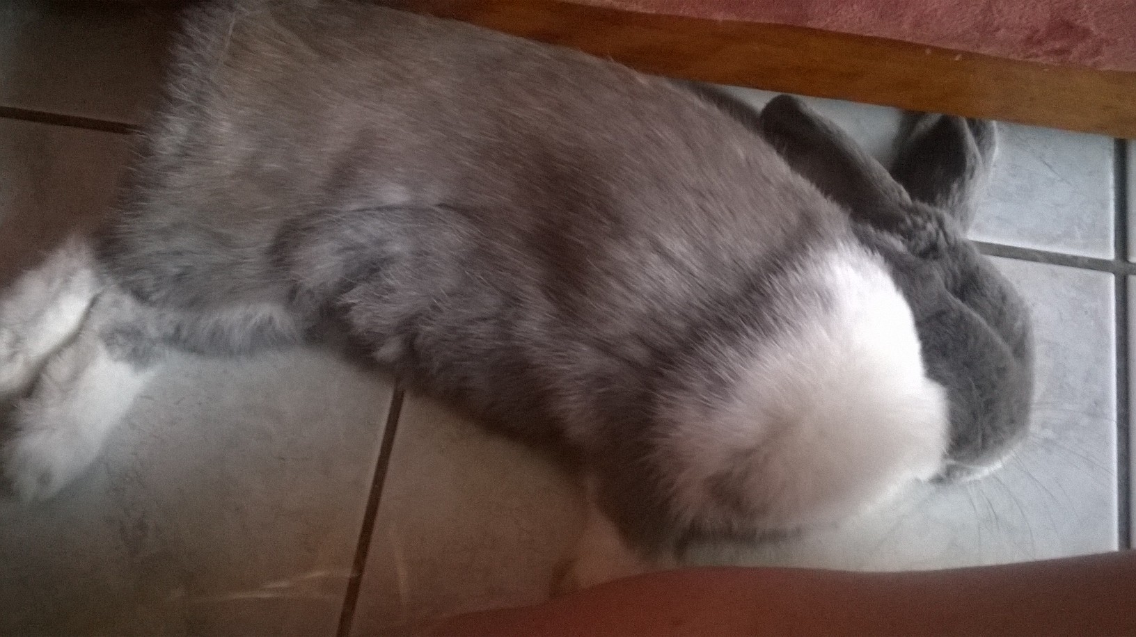 WP_20140917_013.jpg