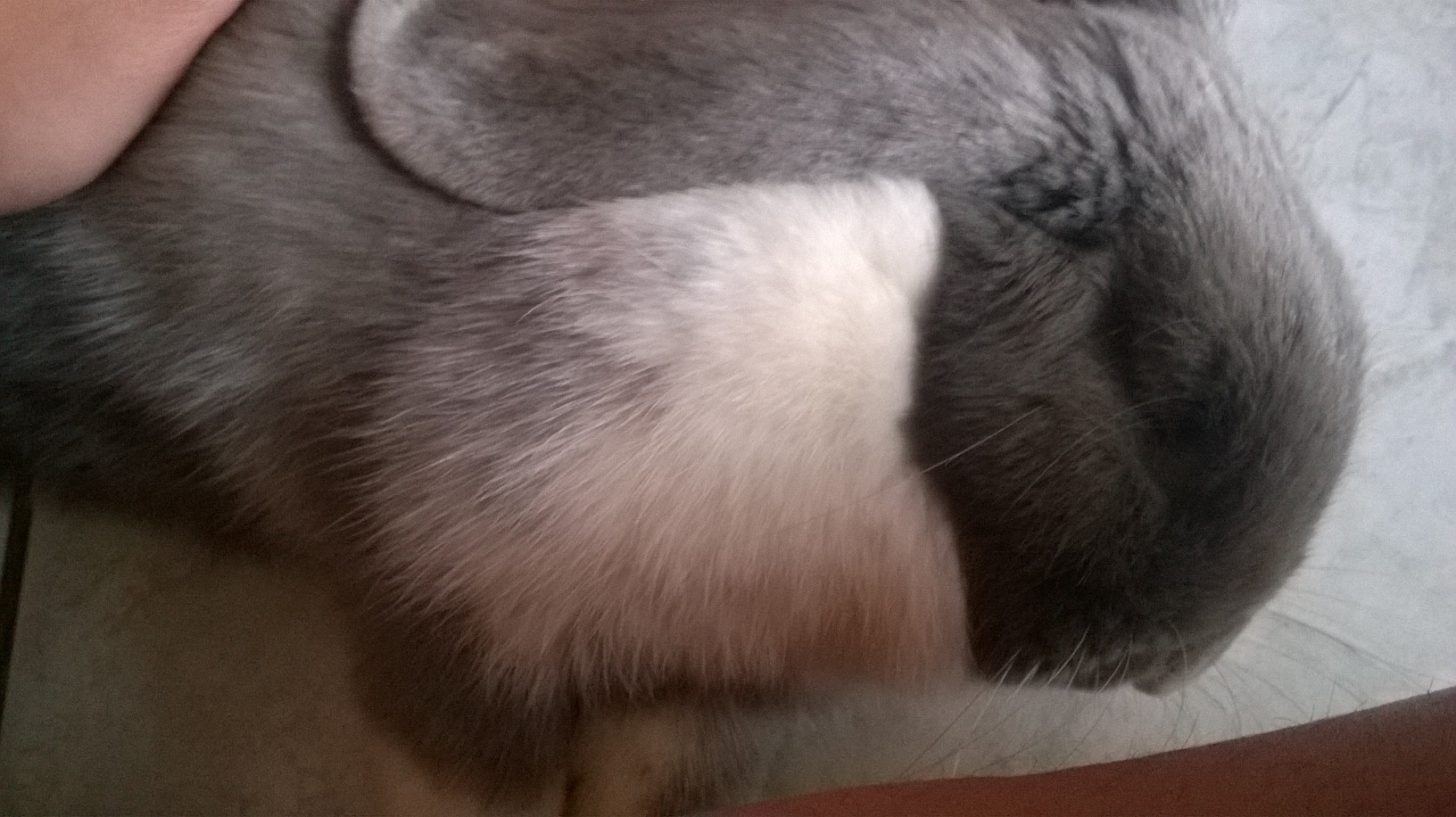 WP_20140917_002.jpg