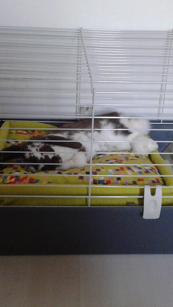20141008_182337.jpg