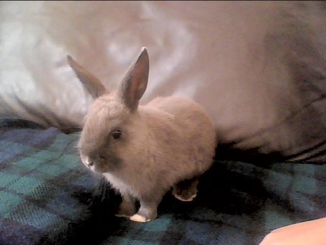 Photo_00010.jpg