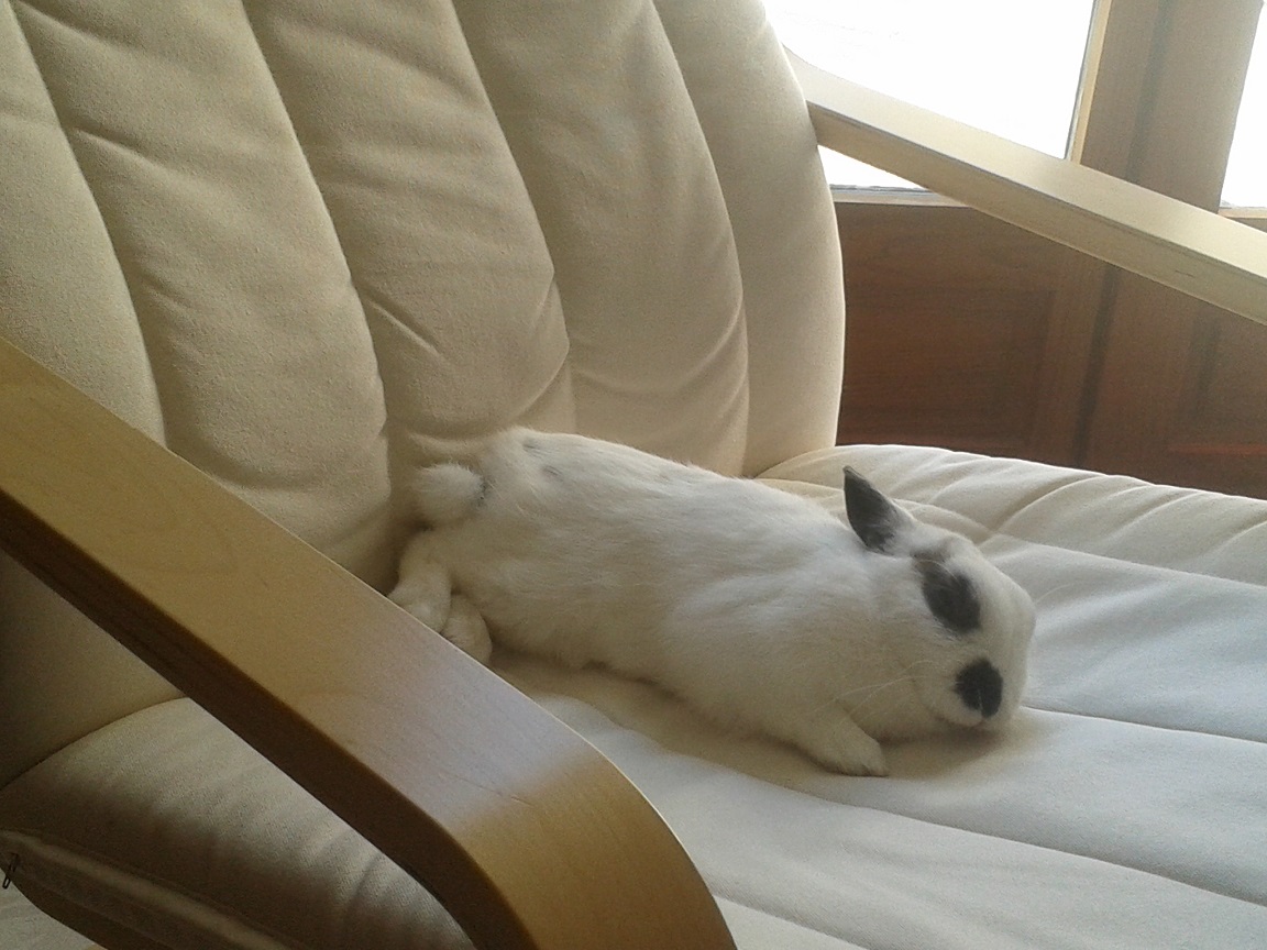 20140320_143803.jpg