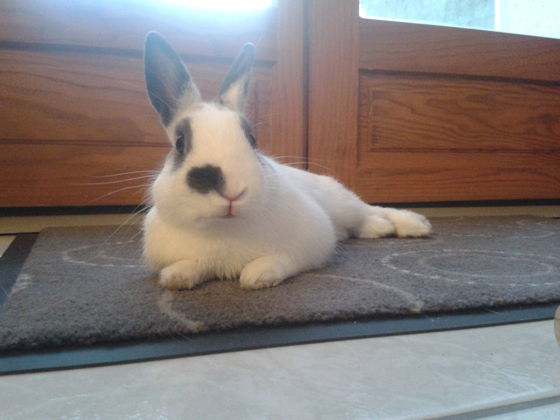 20140327_192042.jpg