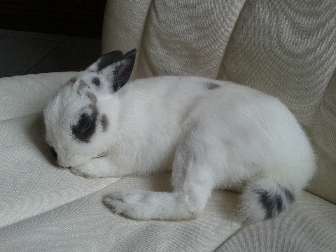 20140331_161001.jpg