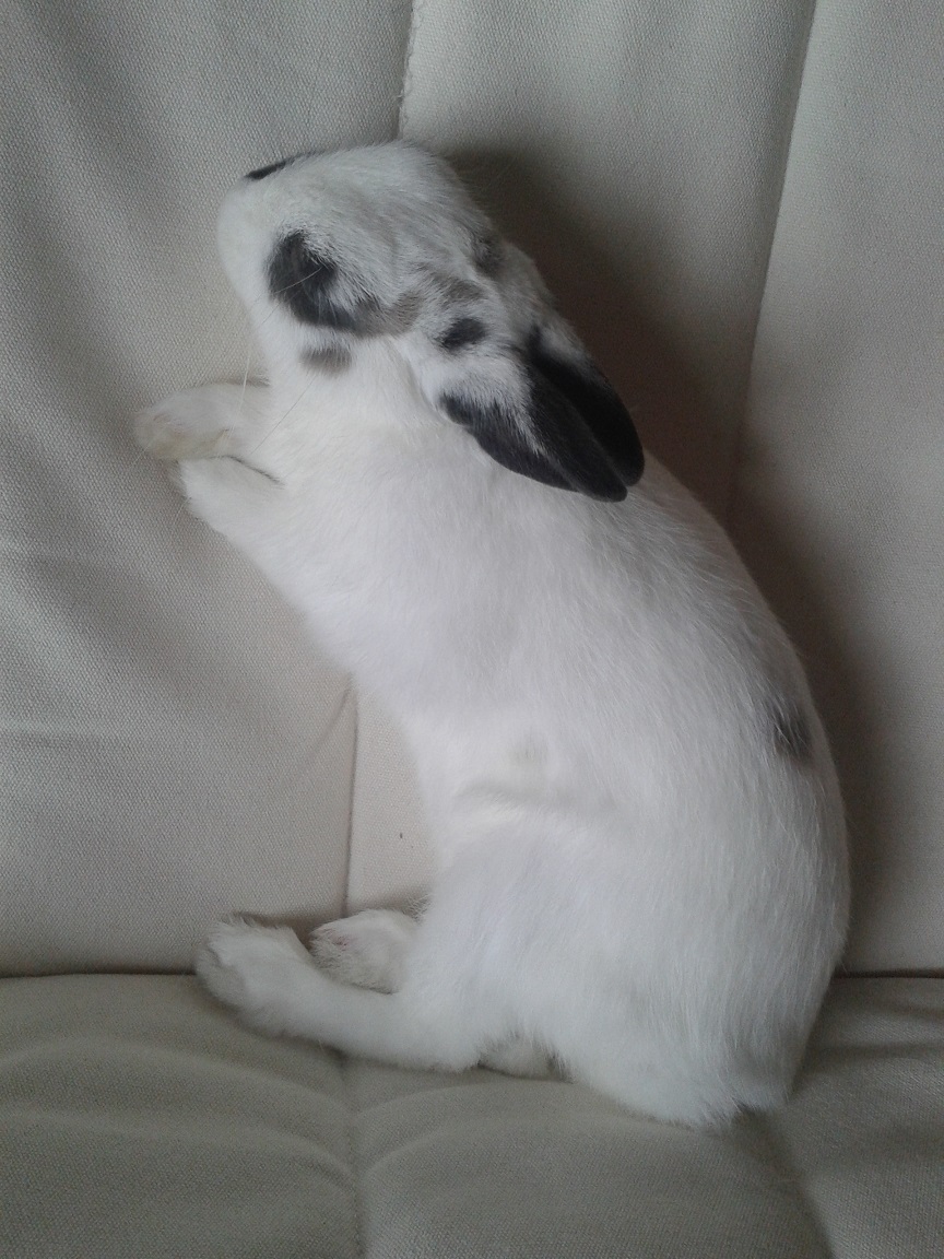 20140401_172708.jpg