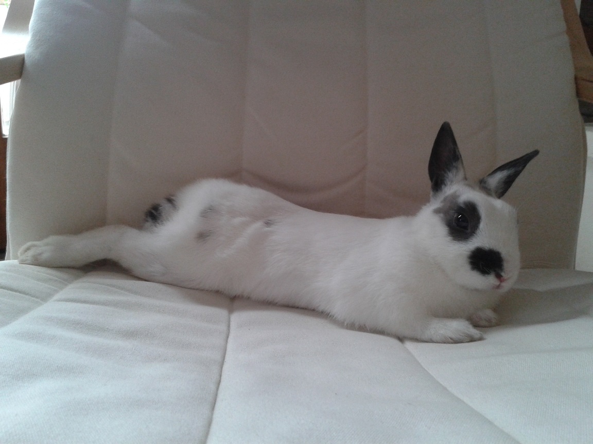 20140429_160711.jpg