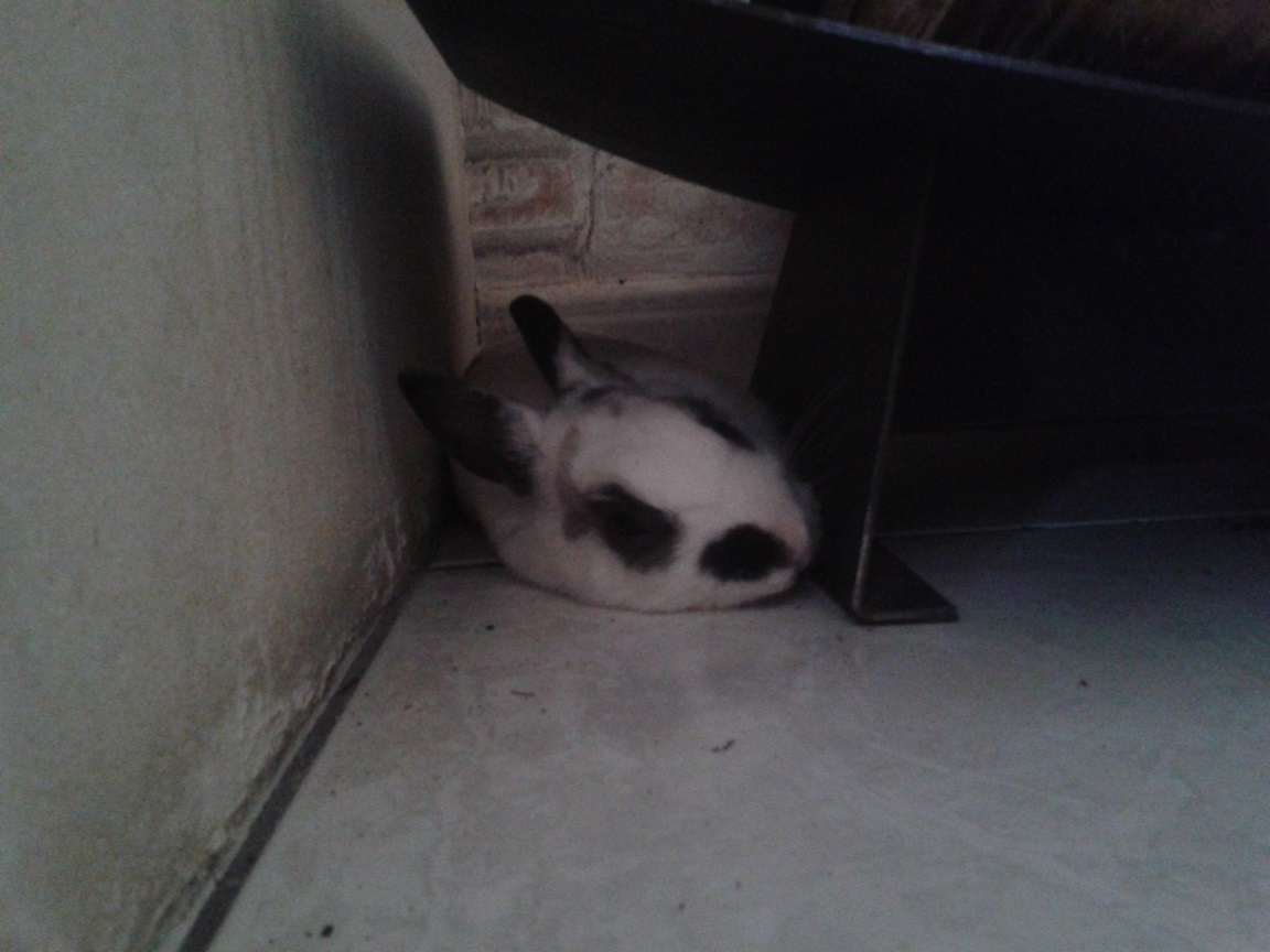 20140510_154810.jpg