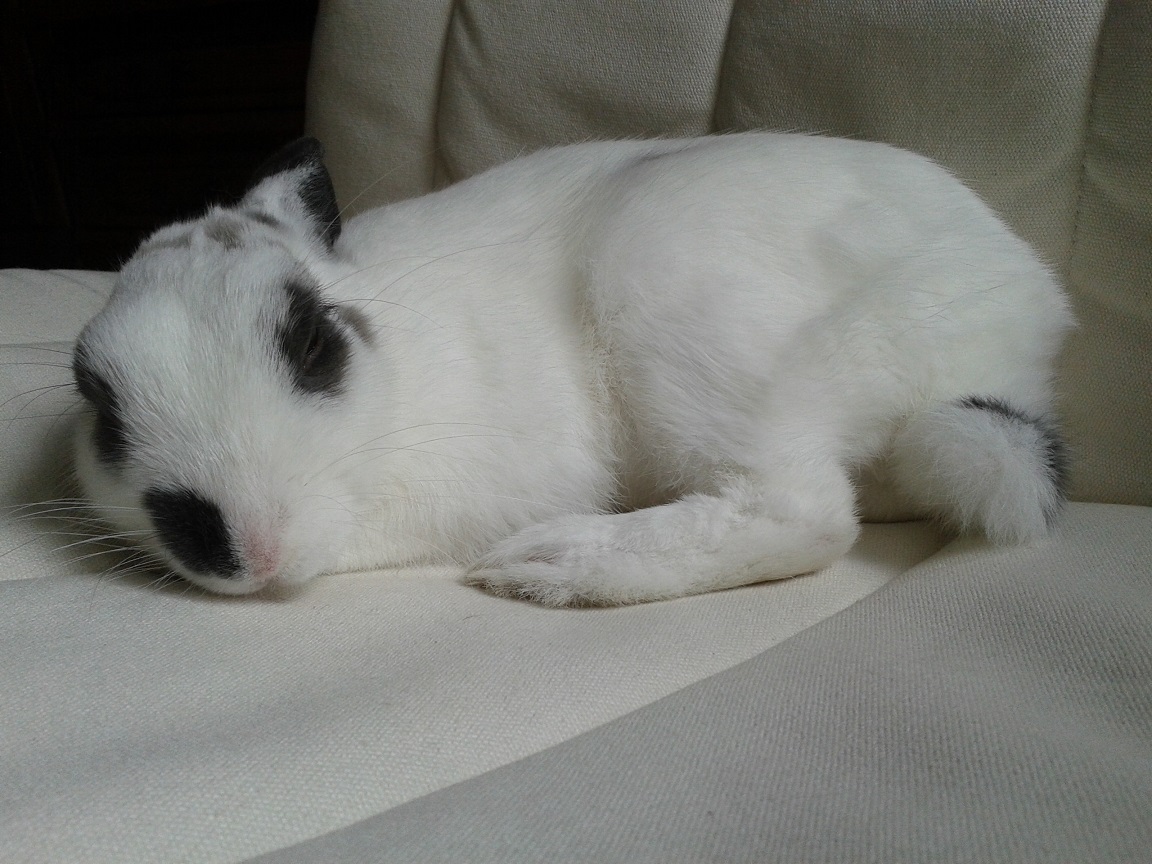 20140531_163058.jpg