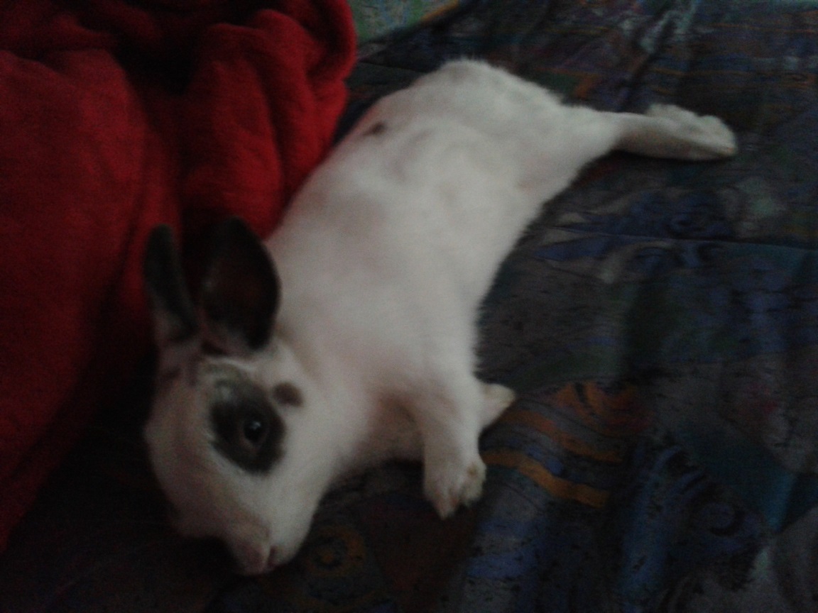 20140605_211316.jpg