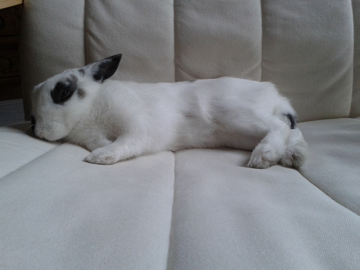 20140629_175544.jpg