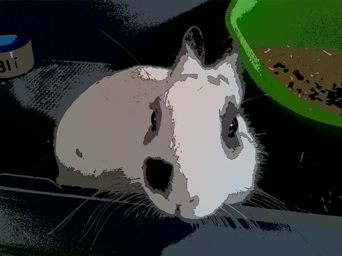 20140923_131106.jpg
