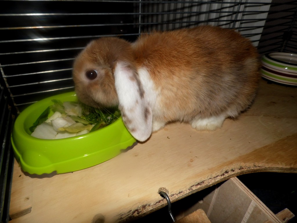 SAM_0002999.jpg