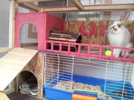 cage).jpg