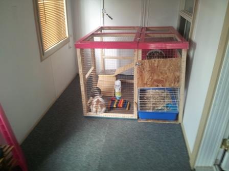 cage2.jpg
