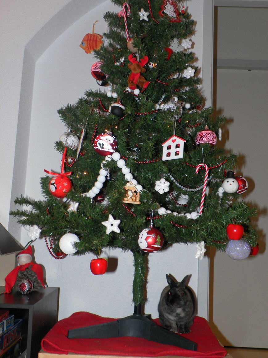Dibou sapin.jpg