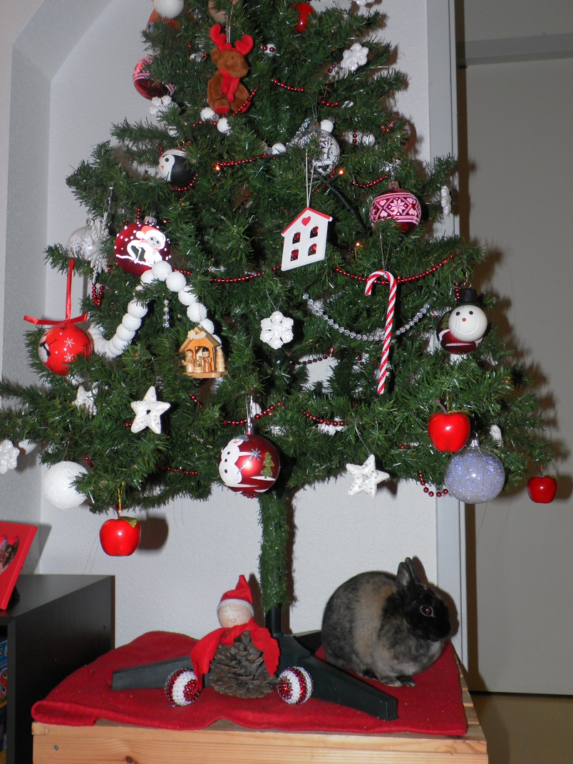 Sapin.jpg