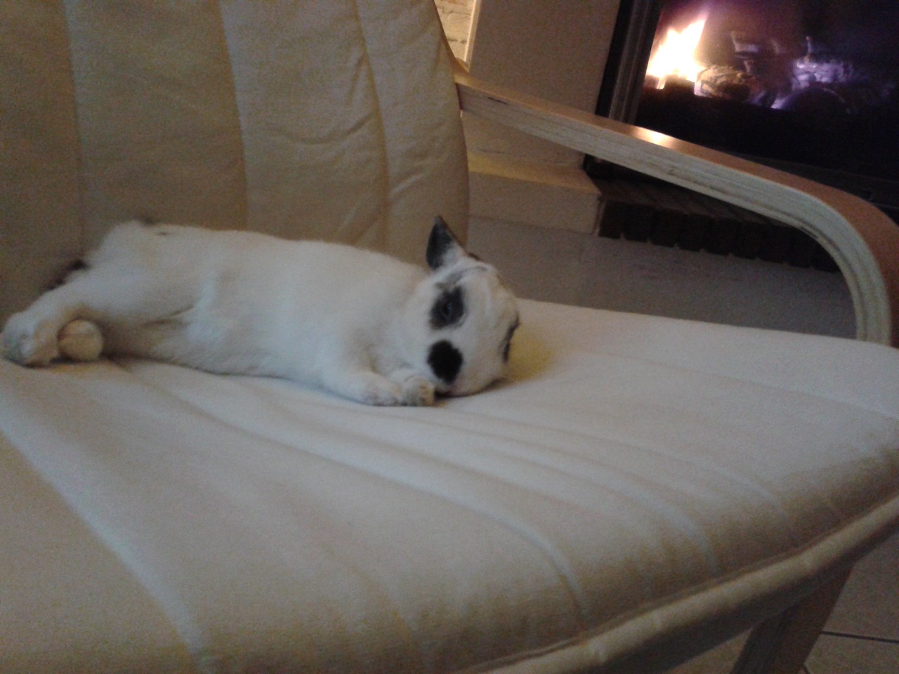 20150125_181134.jpg