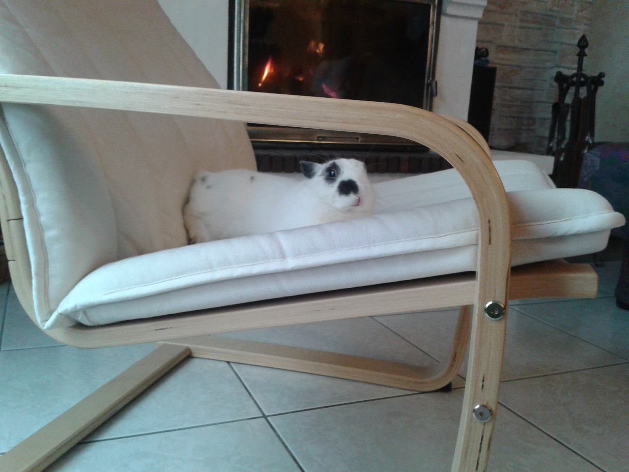 20150124_161040.jpg