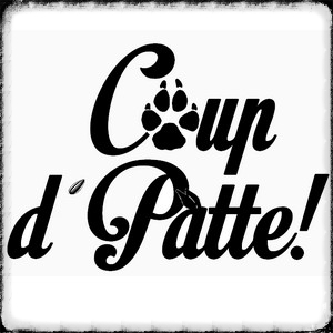 Logo Finiiiii.jpg