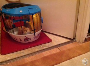 N2Hamster sauvetage 02 15i.png
