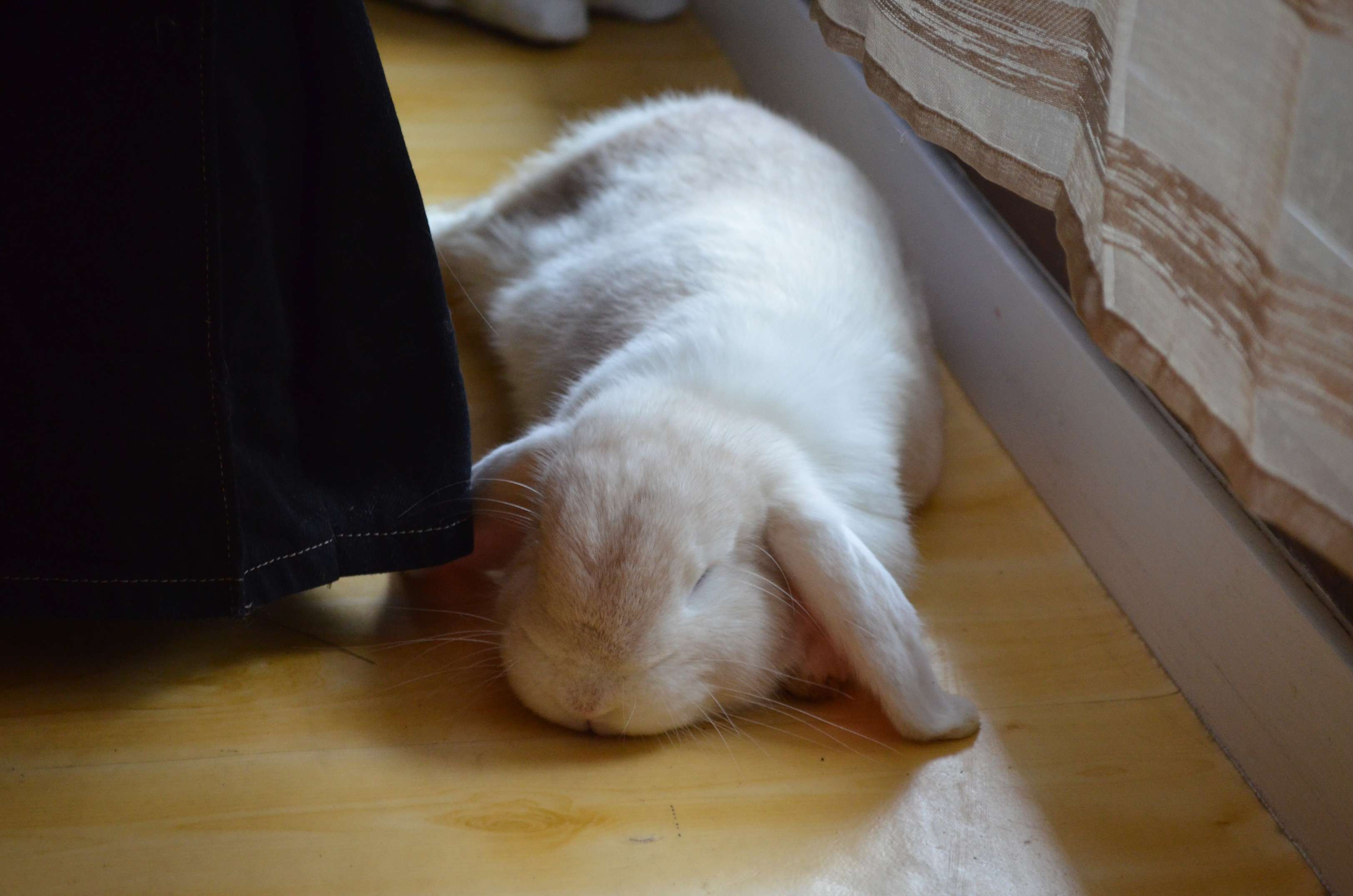 DSC_0120.JPG