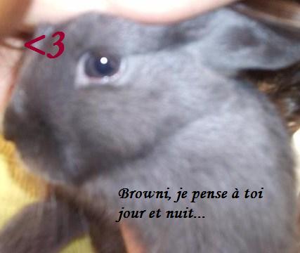 choupinette.jpg
