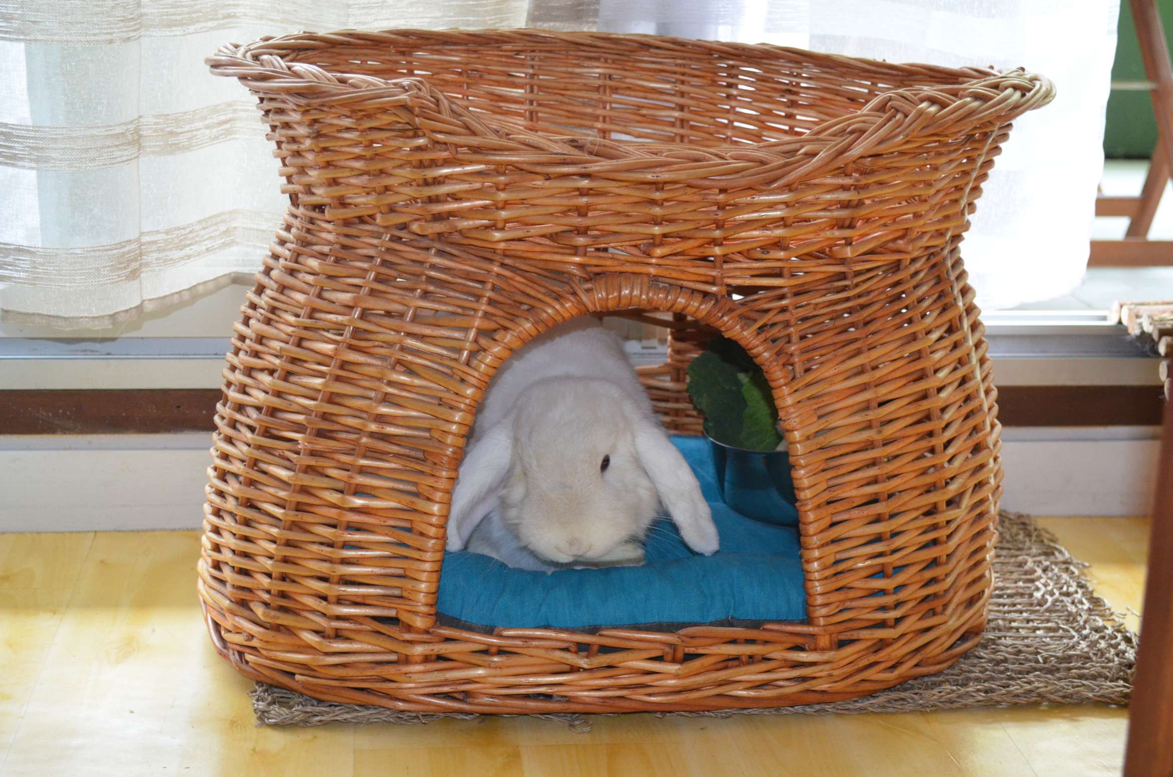 DSC_0266.JPG
