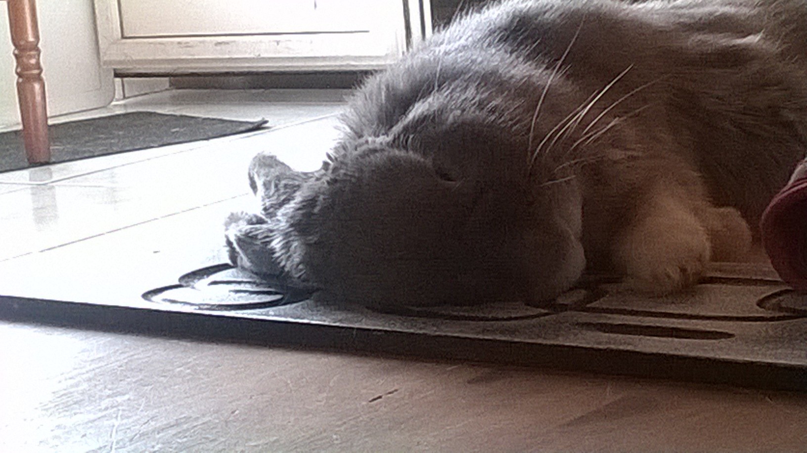 WP_20150621_050.jpg