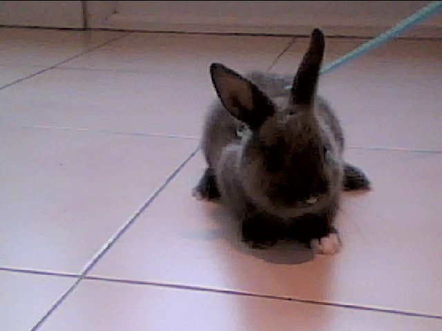 Photo_00017.jpg