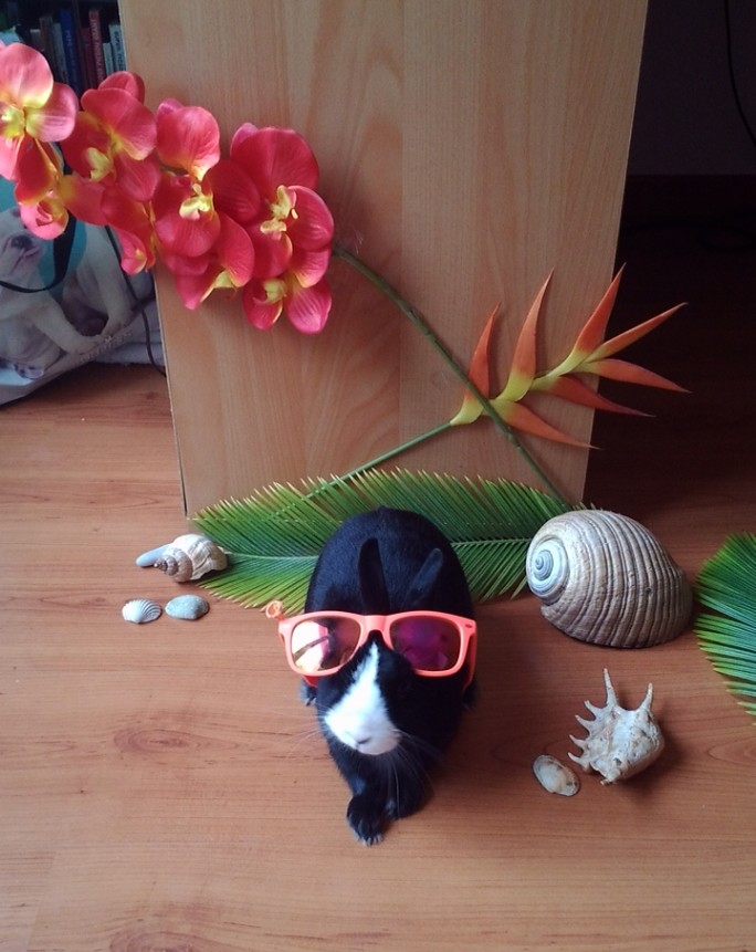 P_20150801_110658_1.jpg