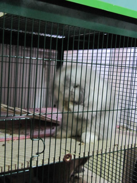 IMG_2652.JPG