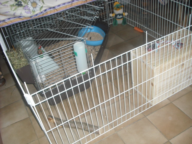 DSCF8843.JPG
