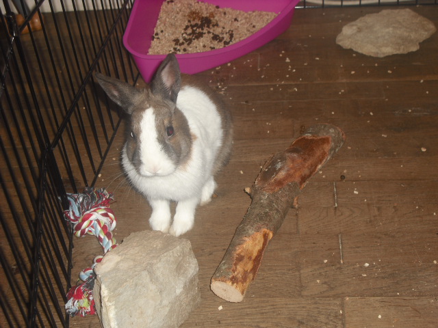 DSCF8814.JPG