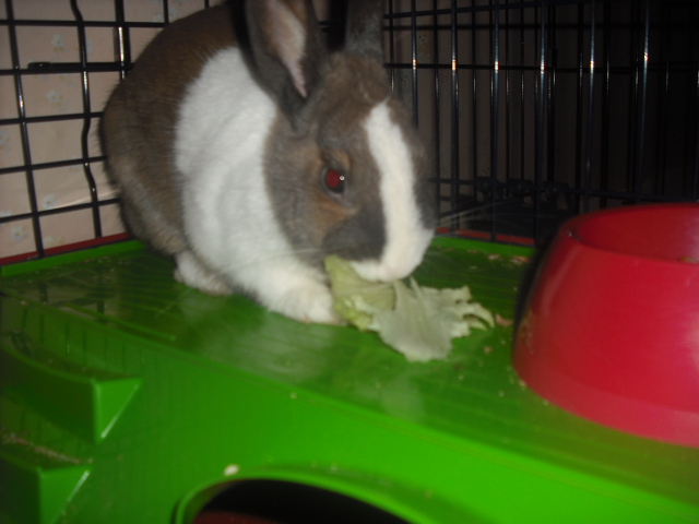DSCF8802.JPG