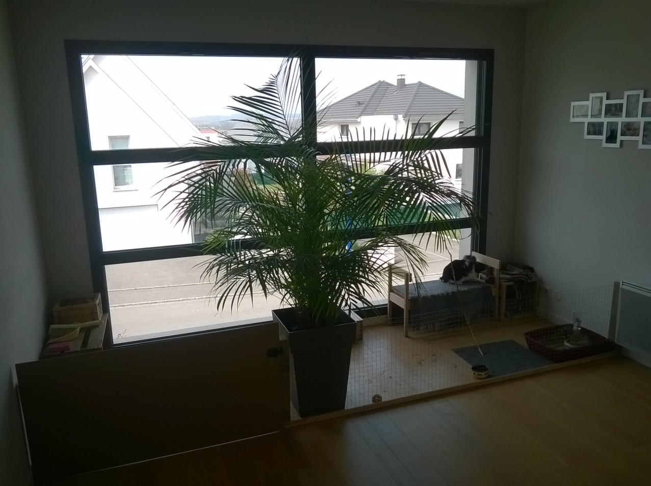 WP_20160403_006.jpg