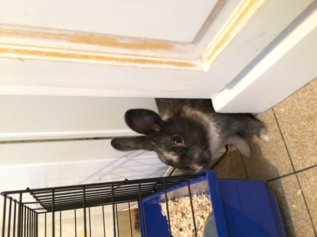 thumbnail_IMG_6079.jpg