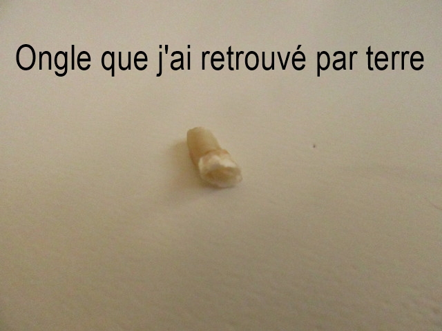4651a2998afbc8b26c5607a989d1e43aa8c0fd9b.jpg