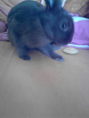 chanelle lol 007.jpg
