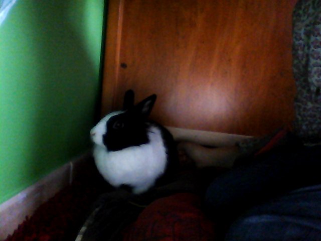 Snapshot_20111022_3.JPG