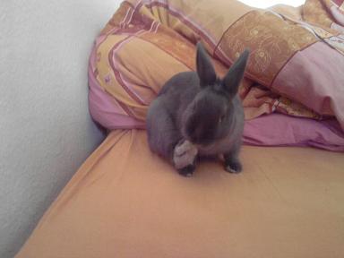 chanelle lol 011.jpg