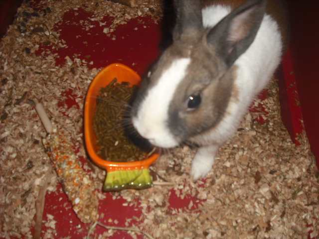 DSCF9063.JPG