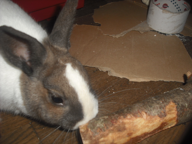 DSCF9068.JPG