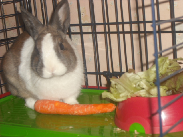 DSCF9076.JPG